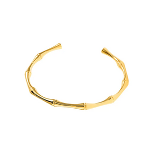 Active Bangle